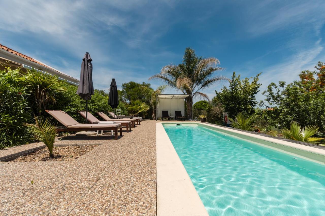 Montepico Guest House Grandola Exterior photo