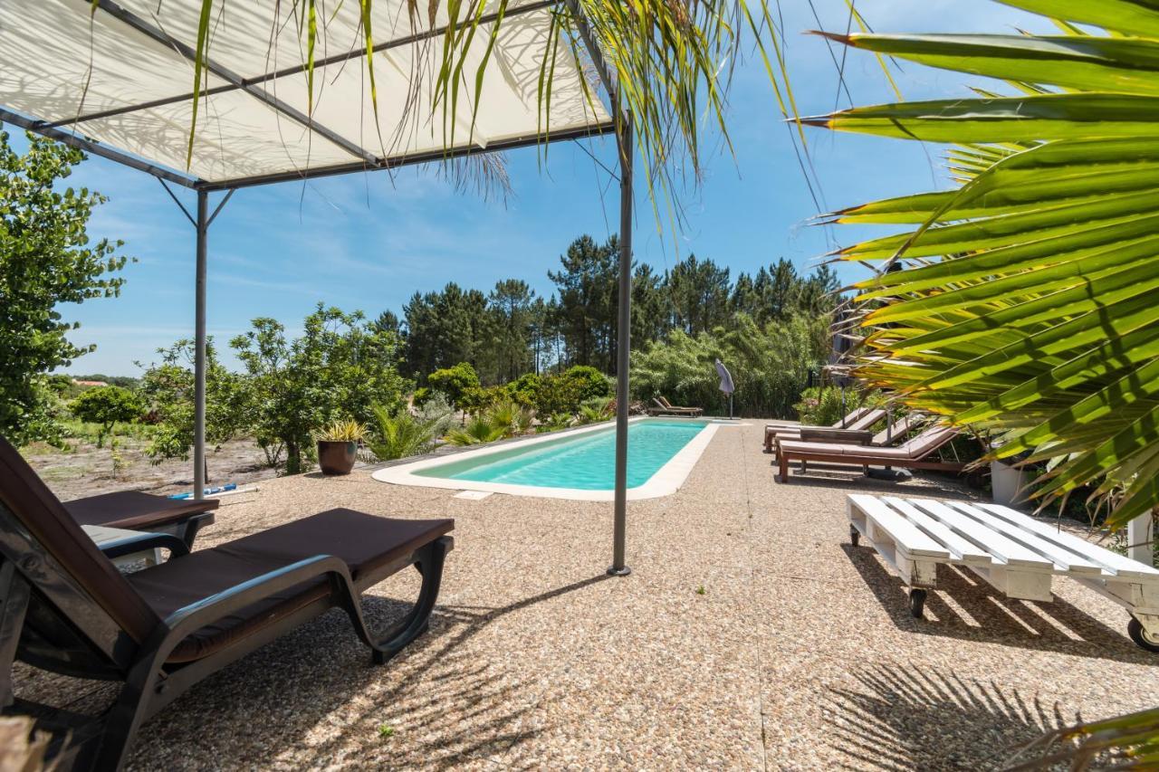 Montepico Guest House Grandola Exterior photo